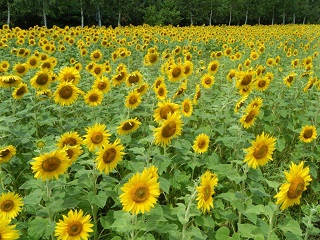 2011.04.jpg