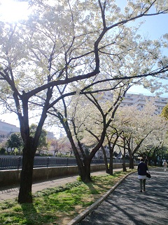 2011.05.01.01.jpg