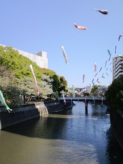 2011.05.01.02.jpg