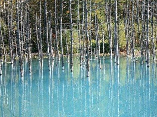 2011.07.jpg