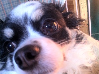 2012.01.13.03.jpg