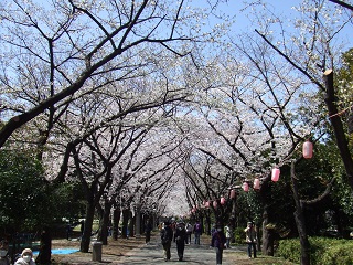 2012.04.11.02.JPG