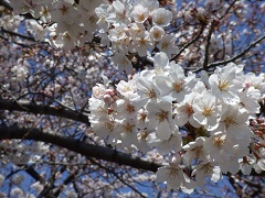 2012.04.11.03.JPG