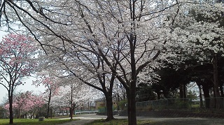 2012.04.25.01.jpg