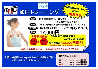 2012.2.23.pop.jpg