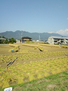 CA3C0035.JPG