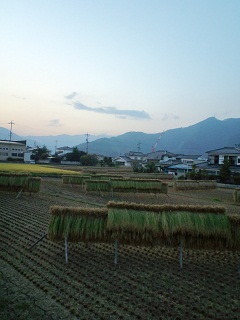 CA3C0036.JPG