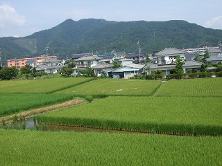 GRL_10940001.jpg